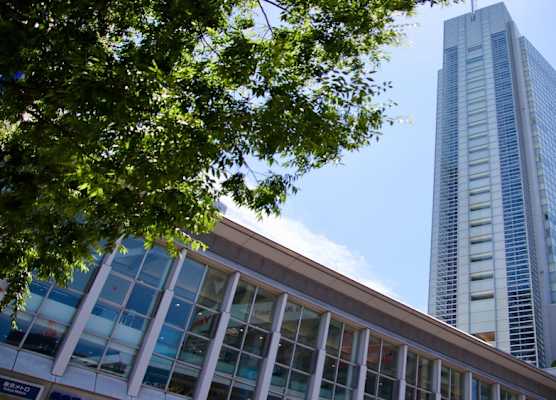 Shibuya Excel Hotel Tokyu 1