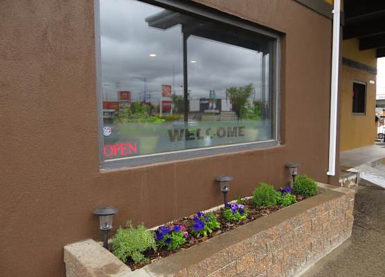 Knights Inn Edmonton South 1