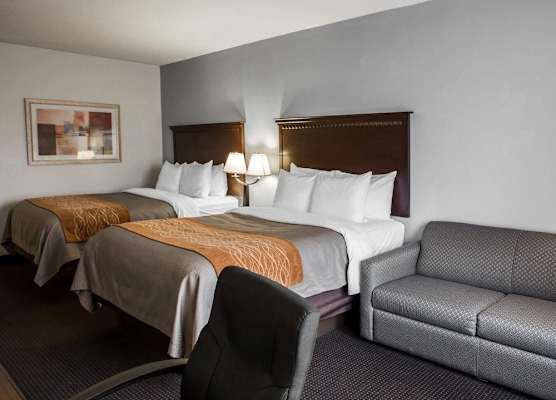 Comfort Inn & Suites Lumberton Central I-95 1