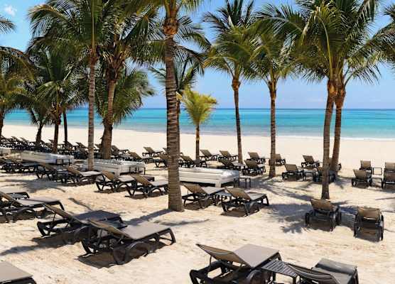 Catalonia Playa Maroma - All Inclusive 1