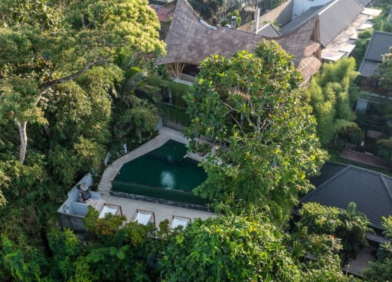 Dinara Ubud 1