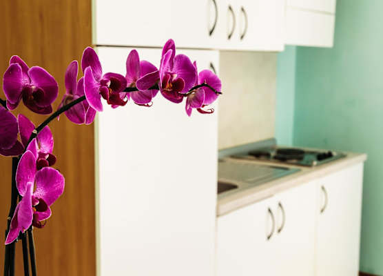 Residence Cima 1