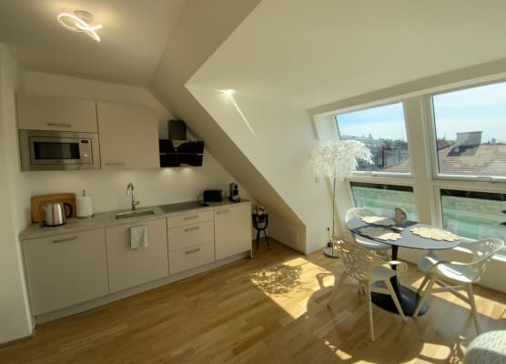 Dachgeschoss Loft im Herzen von Wien 1
