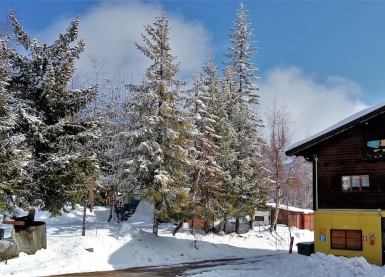 Camping Yoghi e Bubu 1