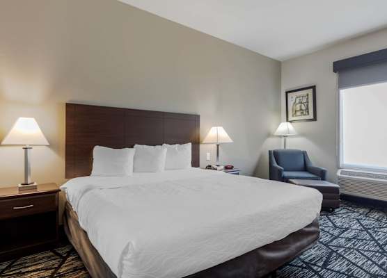 Best Western Plus McKinney Inn and Suites 1