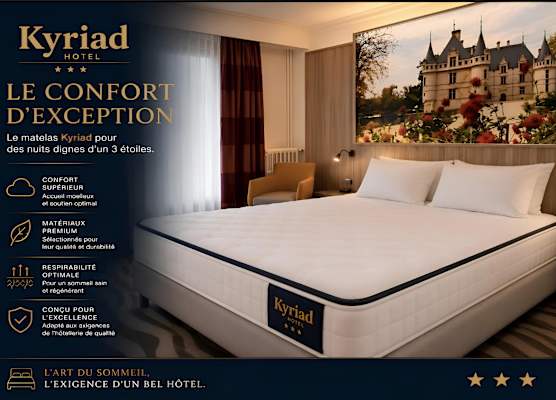 Kyriad Hotel Tours Centre 1