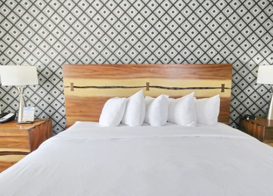 Holiday Shores - ADA Standard King Room 1