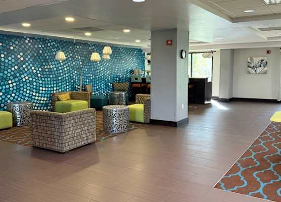 Comfort Inn & Suites Tampa North I-75 1