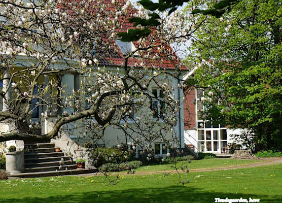 Tiendegaarden Møns Klint 1