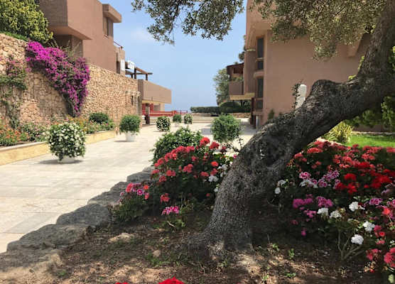 Cugnana Mare Resort 1
