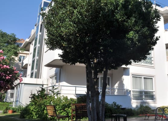 dragos island hotel 1