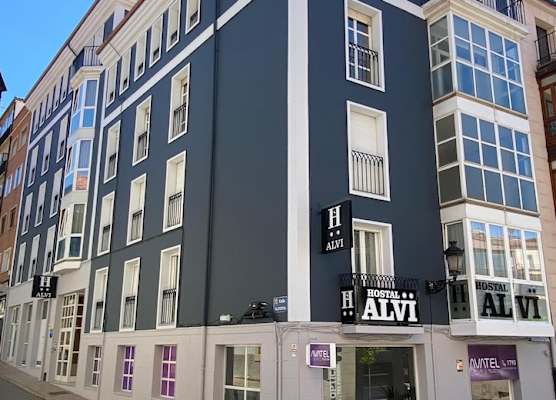 Alvi 1