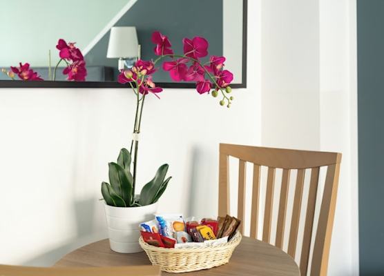 Fleming Suites by Hili 1