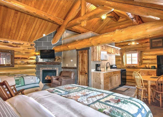 Hibernation Station 1