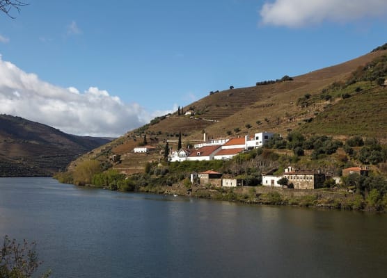 Quinta de la Rosa 1