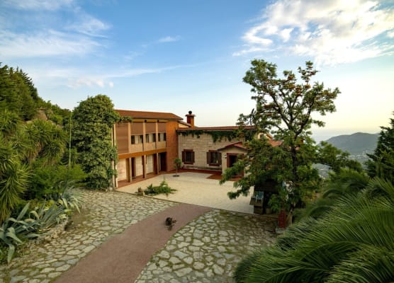 Villa Vino 1