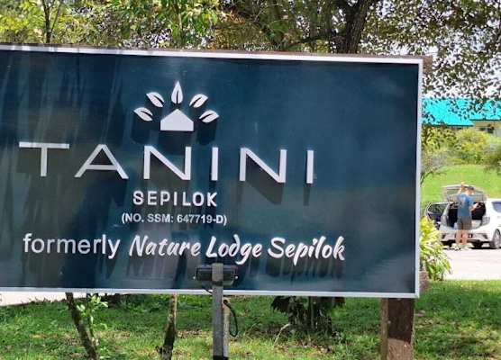 Tanini Sepilok Formerly Known As Nature Lodge Sepilok 1