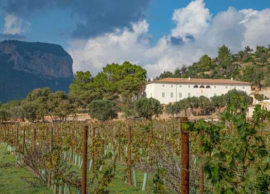 Finca Banyols, Vignette Collection by IHG 1