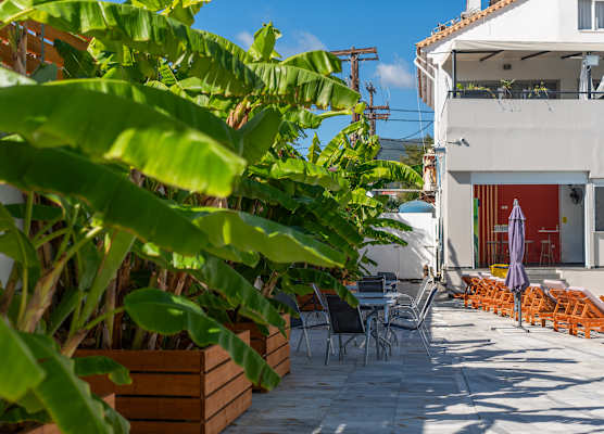 Mojo Hotel 1