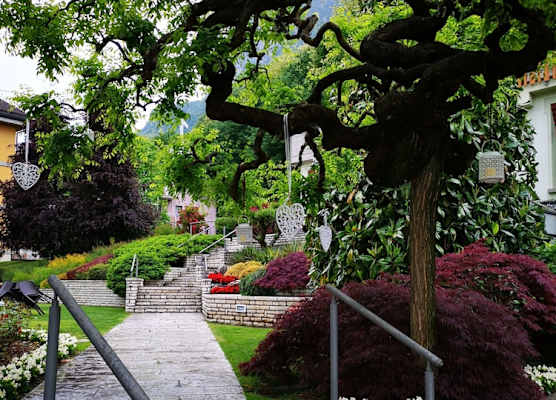 albergo aprica 1