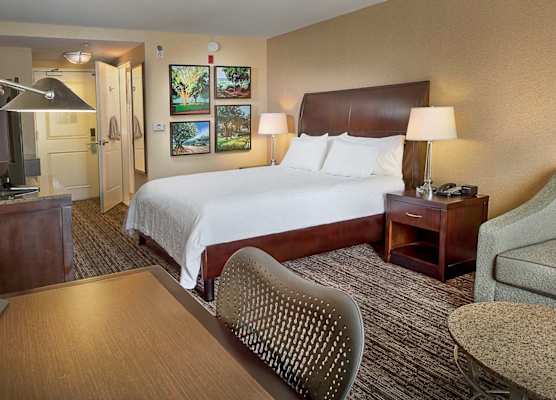 HILTON GARDEN INN ST. LOUIS AIRPORT 1