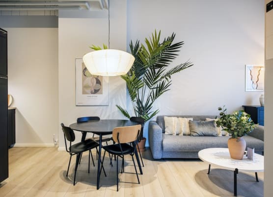 The Beach apartments by Daniel&Jacob's 1