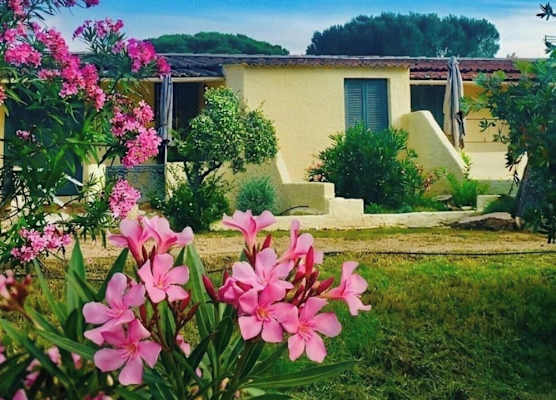 Bungalows Filippi 1
