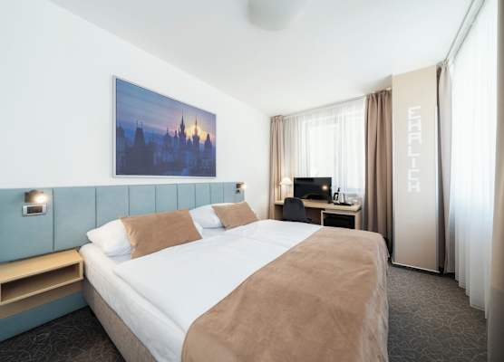 Hotel Ehrlich Prague 1