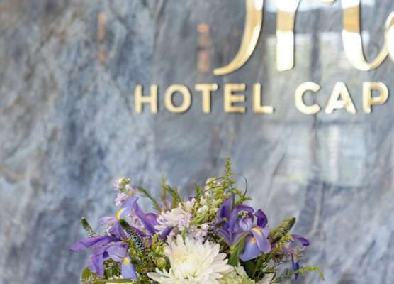 Iris Hotel Cape Cod 1