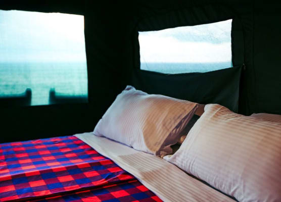 Cheetah Tented Camp 1