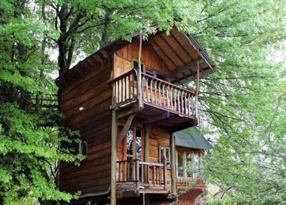 Sycamore Avenue Treehouses & Cottages Accommodation 1