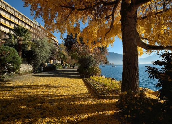 Royal Plaza Montreux 1