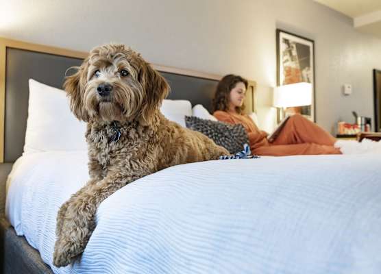 Hotel Saint Clair - Magnificent Mile 1
