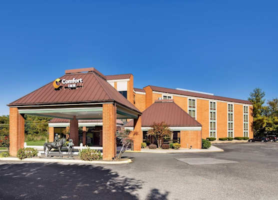 Comfort Inn Lexington Virginia Horse Center 1