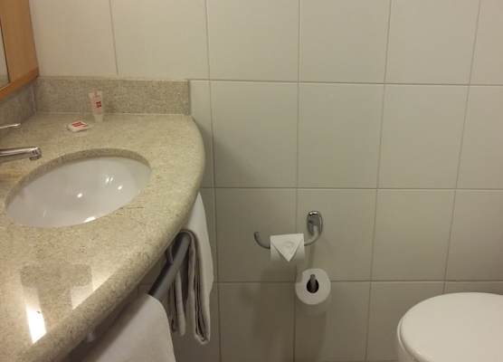 Ibis Belo Horizonte Savassi 1