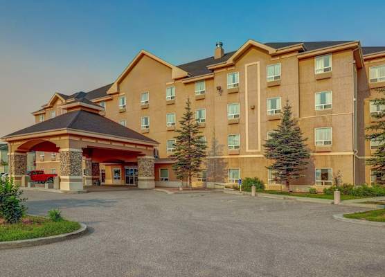Prairie Crest Red Deer by IHG 1