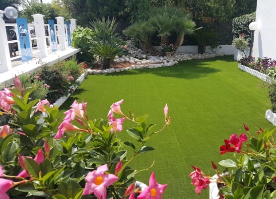Hotel Le Palme 1