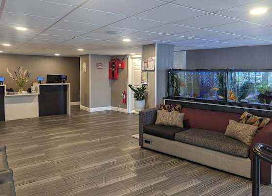 Quality Inn & Suites Northampton - Amherst 1