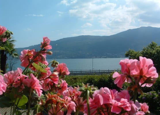 Residence Tre Ponti 1