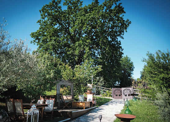 Tenuta Lisetta 1