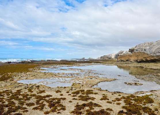 De Hoop Collection 1