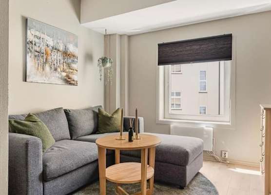 Cozy Studio in Bergen Center 1