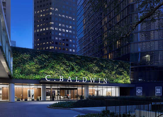 C. Baldwin, Curio Collection by Hilton 1