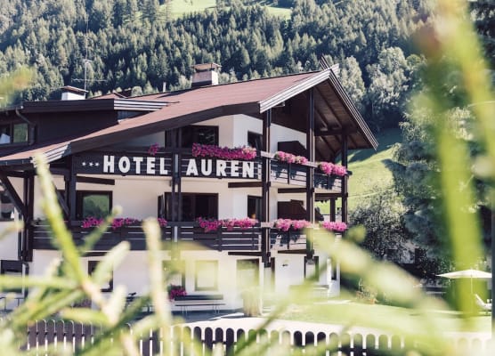 Hotel Auren 1