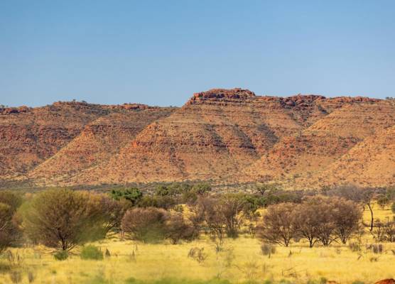 Discovery Resorts - Kings Canyon 1