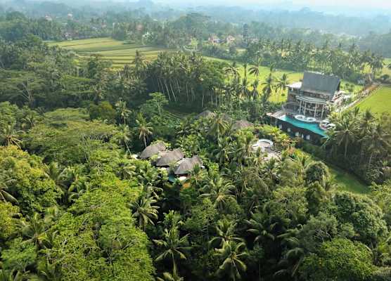 Abisena Wellness & Resort Ubud-Adult Only 1