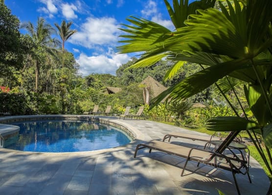 Esquinas Rainforest Lodge 1