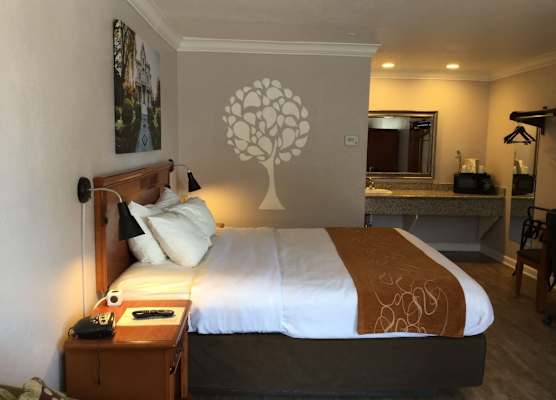 Journey Inn 1
