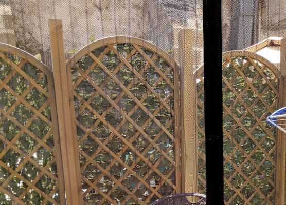 B&B Regina Margherita 1