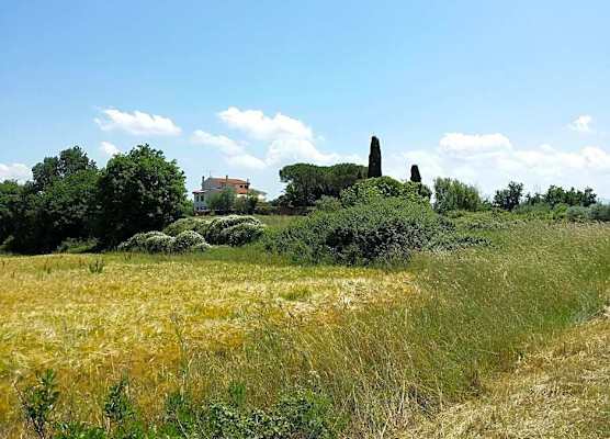 Villa Lavinia B&B 1